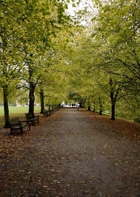 A shaded pathway within Hampstead Heath lined with tall deciduous trees on both sides, their leaves creating a canopy of green overhead. The pathway appears to be made of compacted gravel or asphalt, 